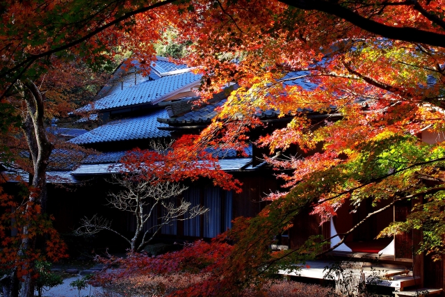 鎌倉の風景写真