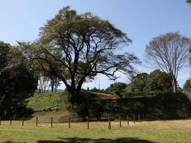 鉢形城公園の写真
