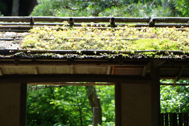 鎌倉の歴史ある風景の写真
