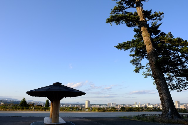 仙台城址公園の日中の風景写真