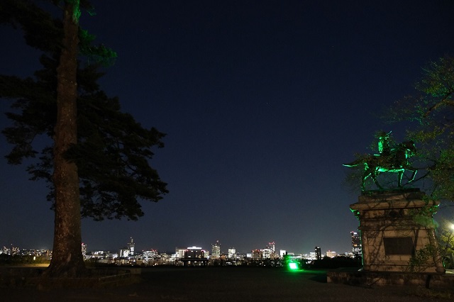 仙台城址公園の夜景の風景写真