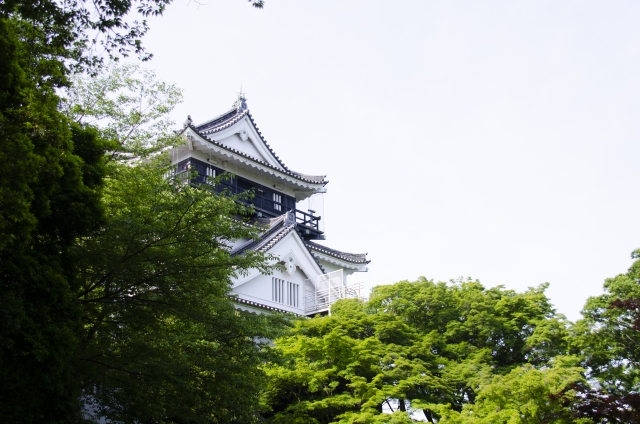 岡崎城の写真