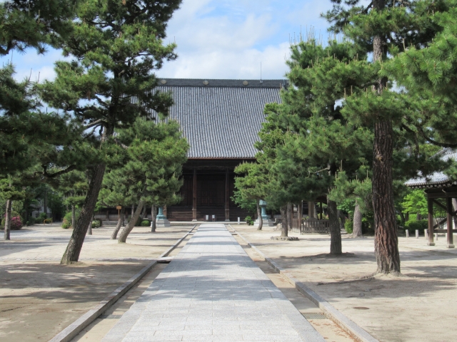 京都知恩寺の写真