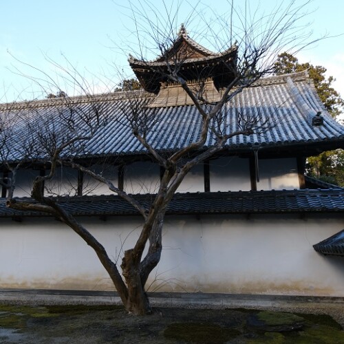 松島瑞巌寺の写真