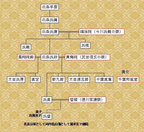 北条氏政家系図