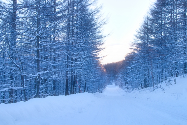 冬の雪景色の写真