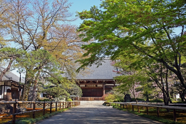 観泉寺の写真