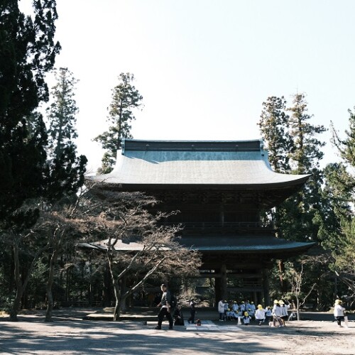円覚寺の1月の風景写真