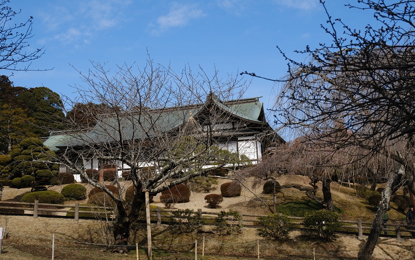 塩竈神社2月の庭園の風景写真2
