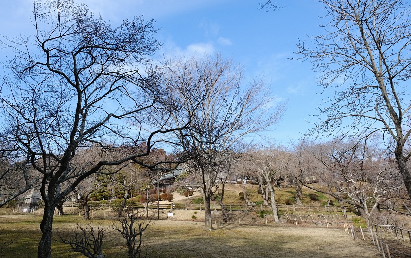 塩釜神社の2月の庭園の風景写真