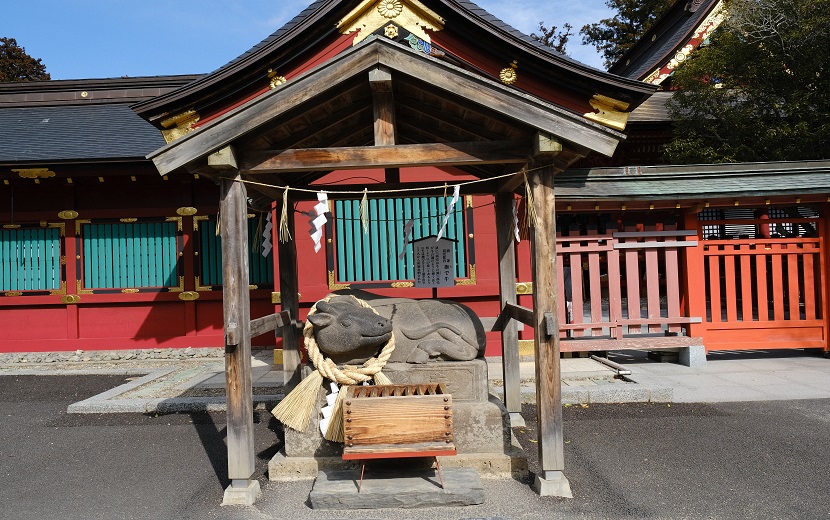 塩釜神社の撫で牛の写真