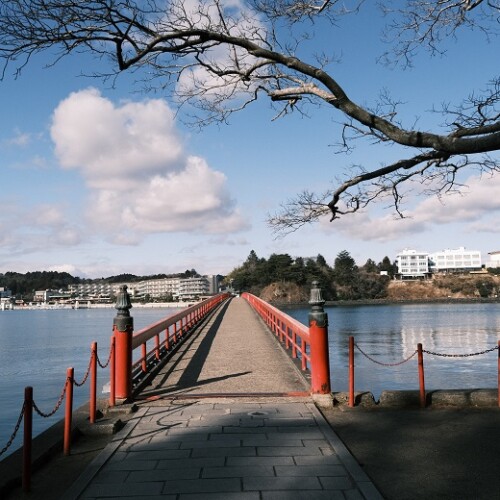 松島福浦橋の1月の写真