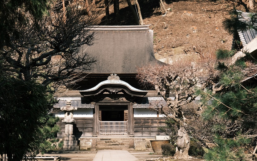 鎌倉円覚寺の１月の風景写真