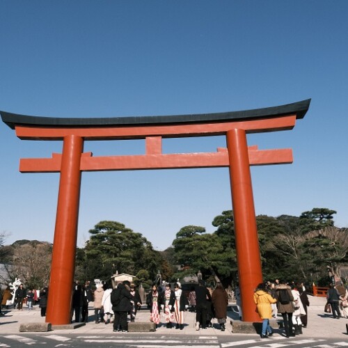 鎌倉鶴岡八幡宮の赤門の写真