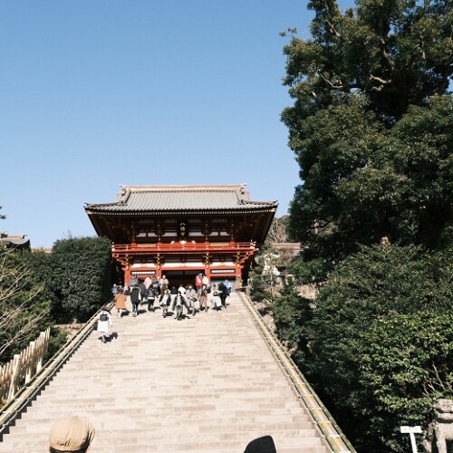 鎌倉鶴が丘八幡宮の風景写真