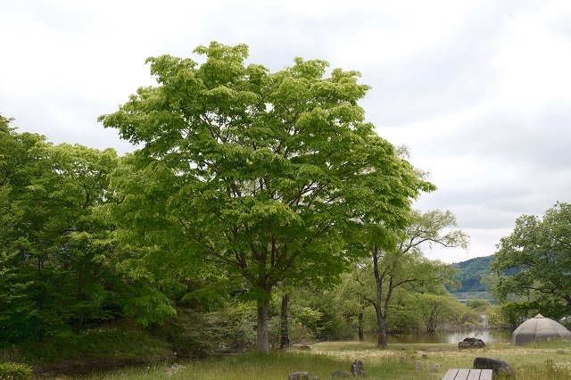花山ダム湖畔の風景写真