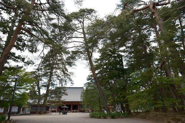 毛越寺本堂の写真