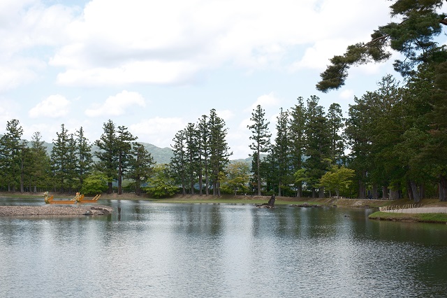 毛越寺庭園の初夏の風景写真
