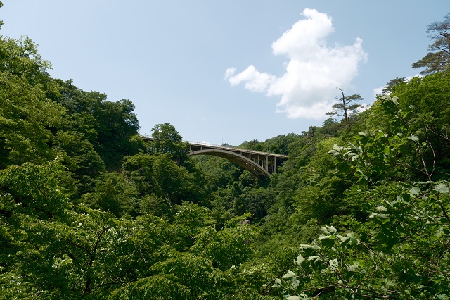 鳴子峡の遊歩道の観光写真