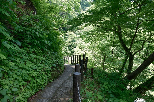 鳴子峡の遊歩道の観光写真