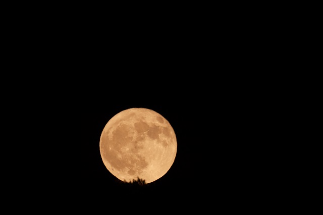 6月の満月・ストロベリームーンの写真