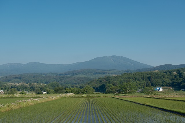 八幡平山の6月の風景写真