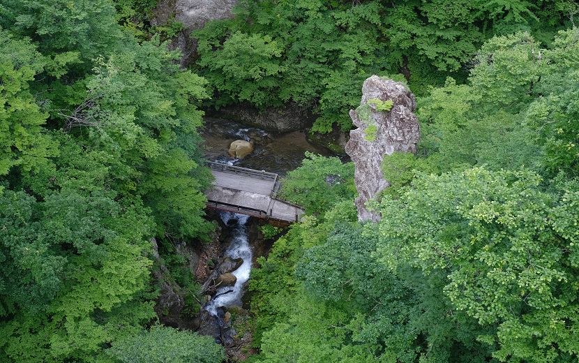鳴子峡の夏の風景写真