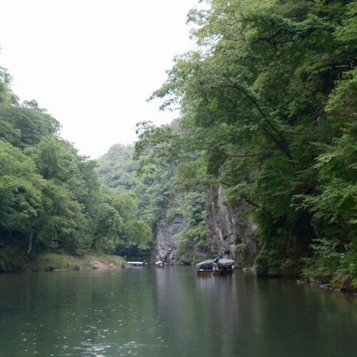日本三大渓流の猊鼻渓の春５月の写真