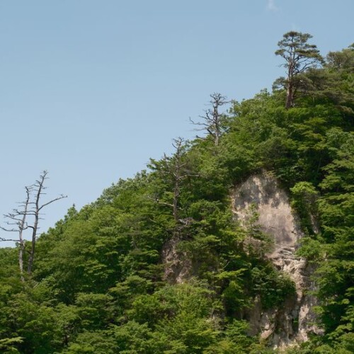 鳴子峡の春の風景