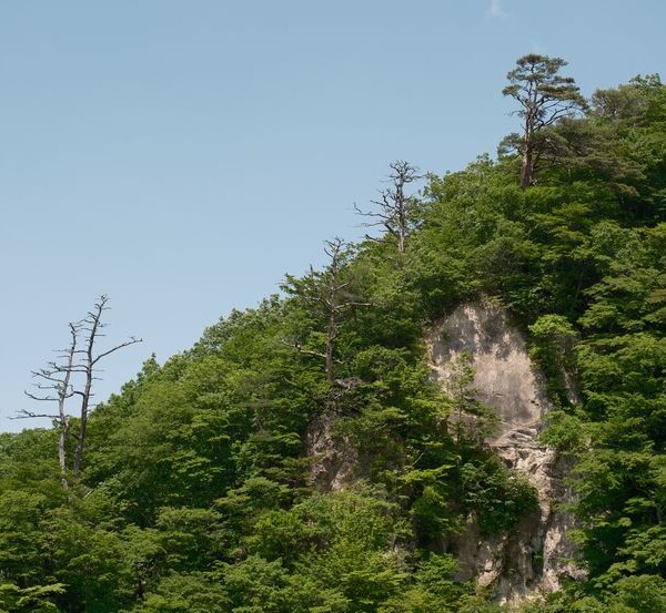 鳴子峡の春の風景