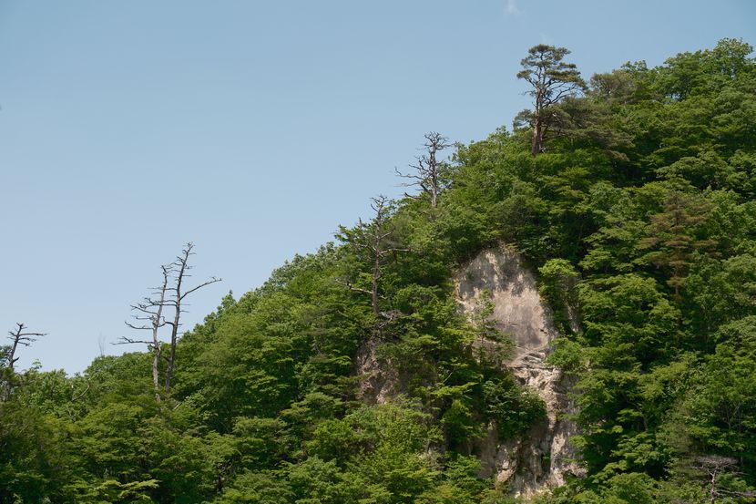 鳴子峡の春の風景