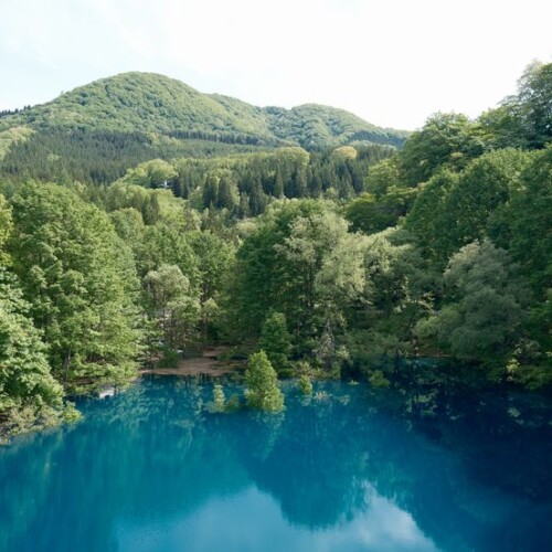 秋扇湖の春の風景写真
