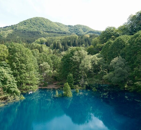 秋扇湖の春の風景写真
