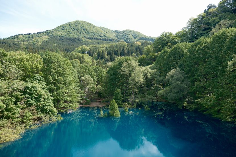 秋扇湖の春の風景写真