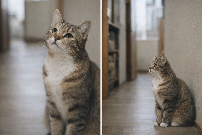 無理をしない距離感