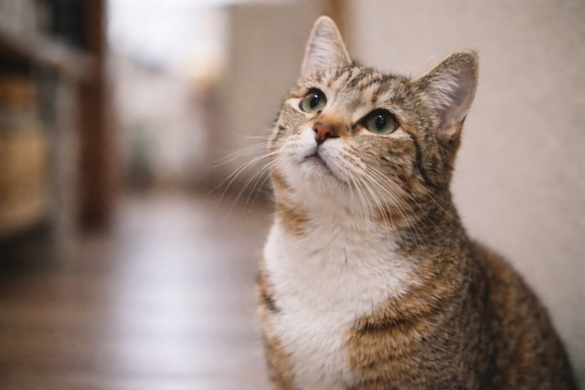 個人的にはそう思うけど・・・