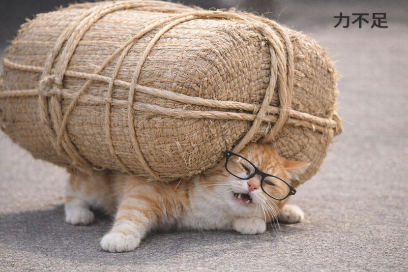 力不足が表れる場面