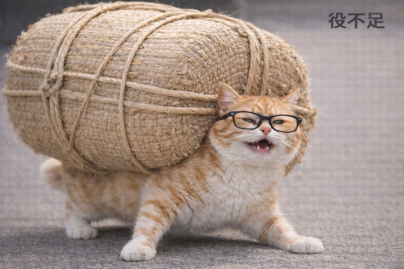 役不足という余裕