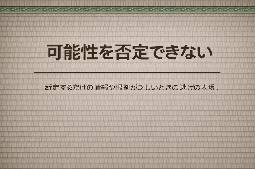 「可能性を否定できない」とは何を言っているのか