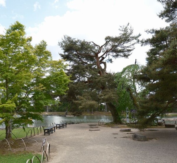 世界遺産毛越寺の敷地内の風景