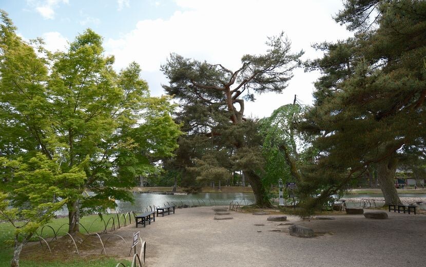 世界遺産毛越寺の敷地内の風景