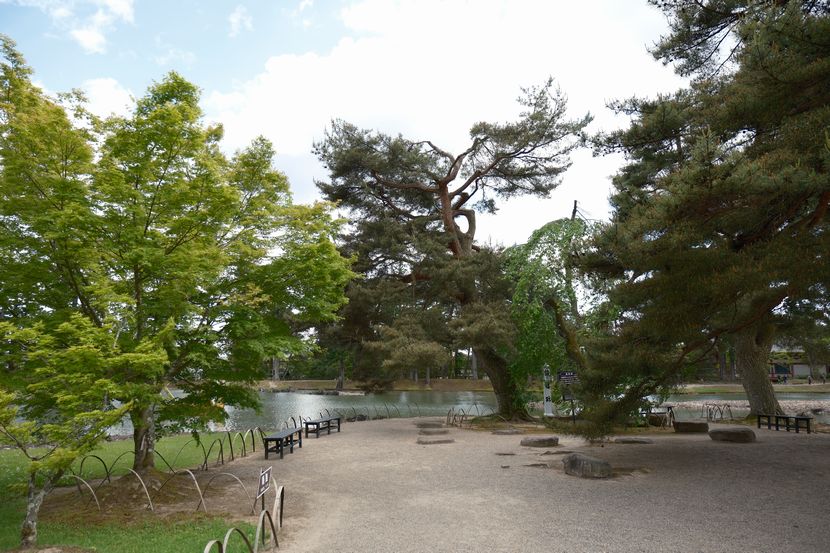 世界遺産毛越寺の敷地内の風景