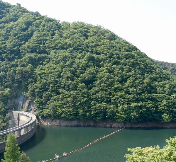 鳴子ダムの５月風景