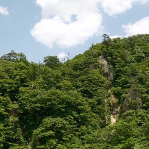 鳴子峡の春の風景