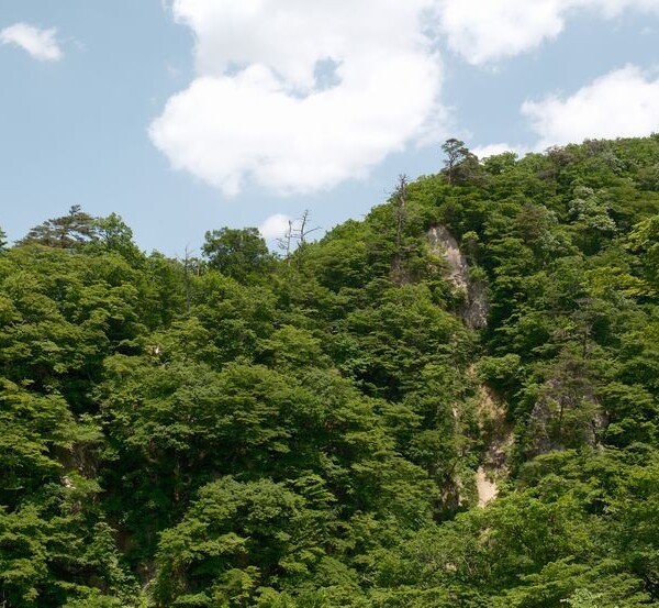 鳴子峡の春の風景
