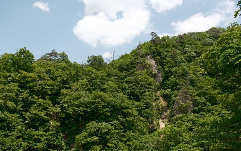鳴子峡の春の風景