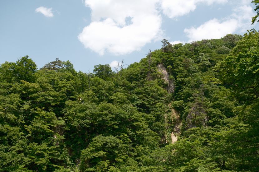 鳴子峡の春の風景