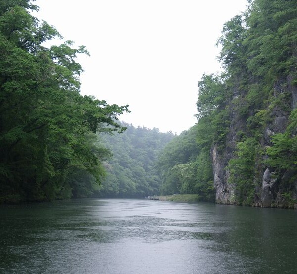 日本三大渓流の猊鼻渓の春５月の写真