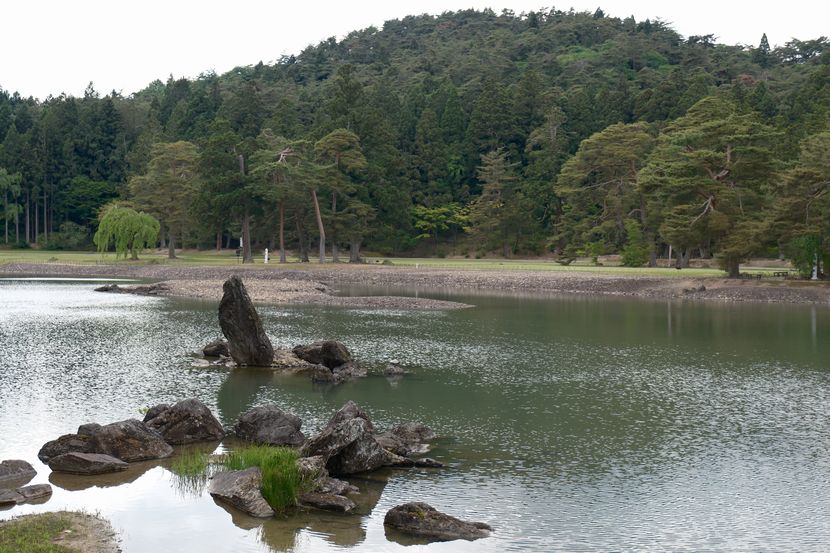 世界遺産毛越寺の敷地内の風景