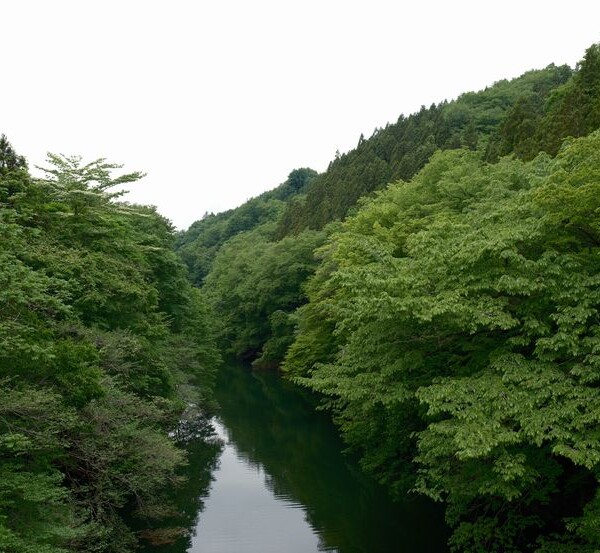 栗駒ダムの上流域の写真